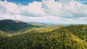 Fantastic Nature of Madagascar / Фантастическая природа Мадагаскара