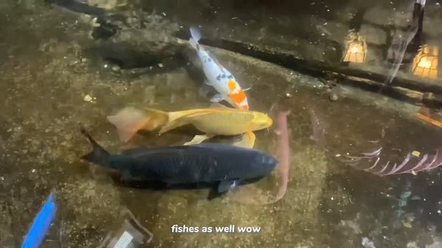 Self-care day ? strawberry milk, night skincare, baking, cleaning, mechanical keyboard ft.epomaker смотреть онлайн