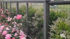 Как модно и стильно сделать красивый двор дома или дачи