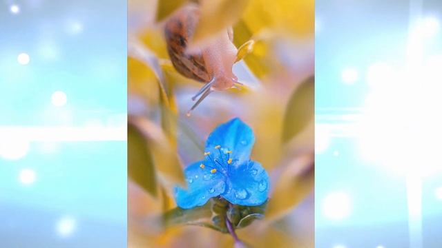 #5 ЖЕНСКИЕ?♀️ практики и женственность. МЕДИТАЦИЯ для начинающих. Духовное развитие смотреть онлайн