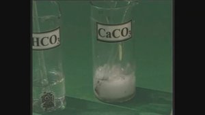 Качественные реакции на анионы. Химия. 9 класс