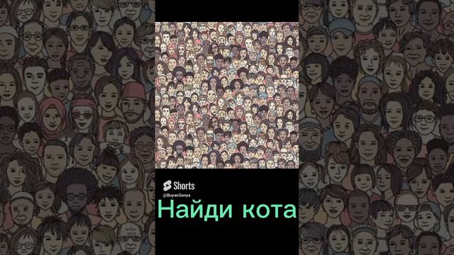 Найди кота