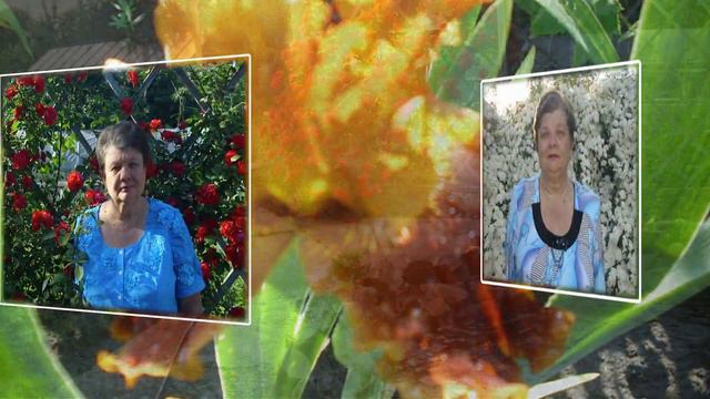 ДЛЯ ТЕБЯ, ЛЮБОЧКА! смотреть онлайн