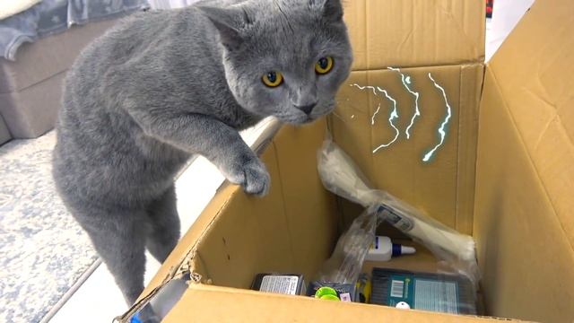 Перекрасили ДОМ Картоный Дом своими руками My little Nastya