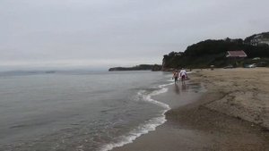 Пляж в поселке Врангель