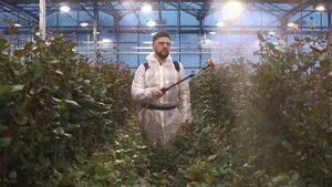 Аккумуляторный опрыскиватель Жук Электро