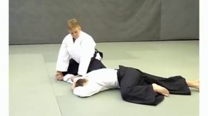 Айкидо. Основные положения.