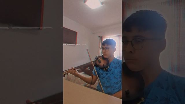 hangul la vioara ! смотреть онлайн