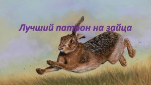 Патроны для охоты на Зайца. Снаряжаем качественно!