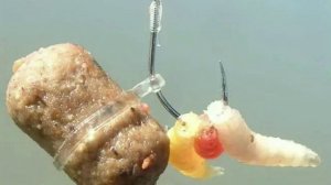 СУПЕР НАЖИВКИ НА ЛЕЩА