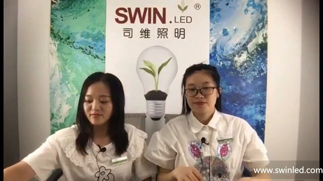 IP68 WATERPROOF LED STRIP LIGHT FOR SWIMMING POOL HIGH BRIGHTNESS DECORATIVE LIGHT смотреть онлайн