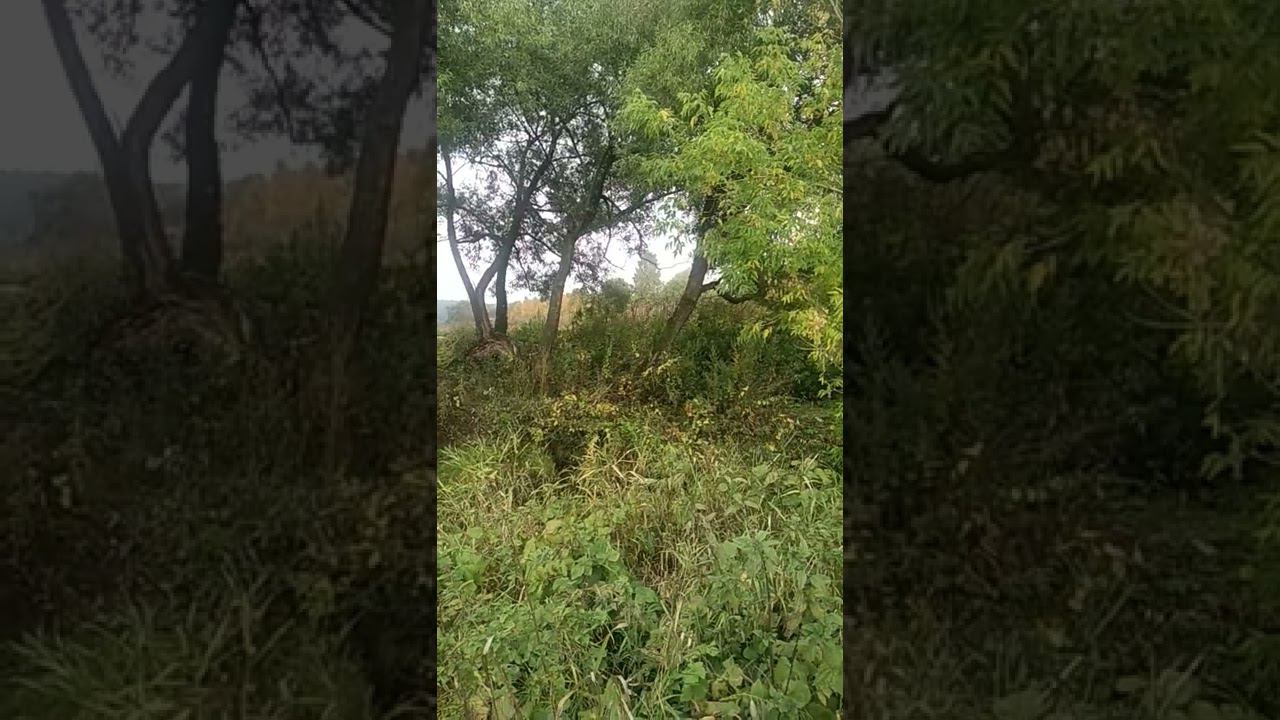 23 сентября 2022 г. смотреть онлайн