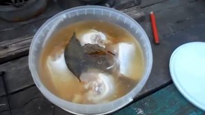 Коптю куриные спинки.