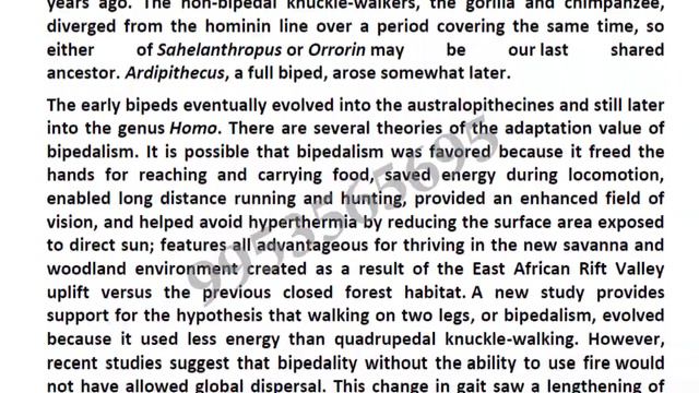 FST 01 solved assignment 2019 | fst 1 solved assignment 2019 смотреть онлайн