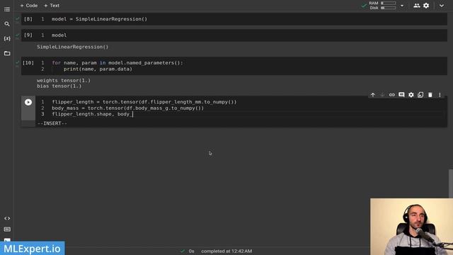 Build Your First Model with PyTorch and Python | PyTorch Tutorial for Beginners