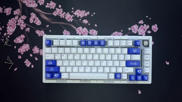 AKKO MOD007 PC КОРОЛЬ ФЛЕКСА | ОБЗОР КЛАВИАТУРЫ ЗА 100$