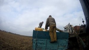 Уборка подсолнуха. Урожай подсолнуха. Фермерство - наглядный пример! #СельхозТехника_ТВ
