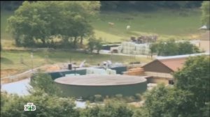 Электричество и тепло из навоза: биогаз становится важным источником энергии