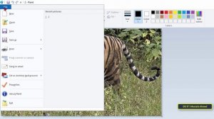 How to Convert a PNG to JPEG on Windows 11