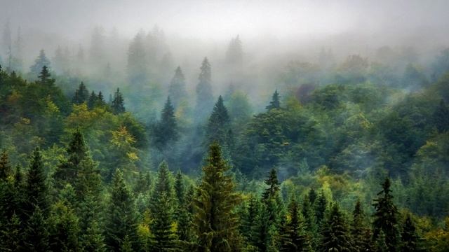 Релаксация с голосом ? Расслабляющий рассказ. Аутотренинг для успокоения нервно
