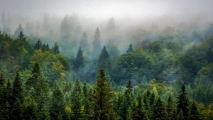 Релаксация с голосом ? Расслабляющий рассказ. Аутотренинг для успокоения нервно