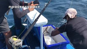 Таиланд Пхукет 2020! Супер морская рыбалка получилась !