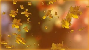 Осенний футаж - Autumn footage