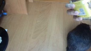 Лечим ранки Лаки // Капаем капли Стронгхолд