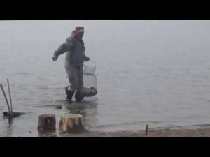 Всё будет карасём! Часть 2