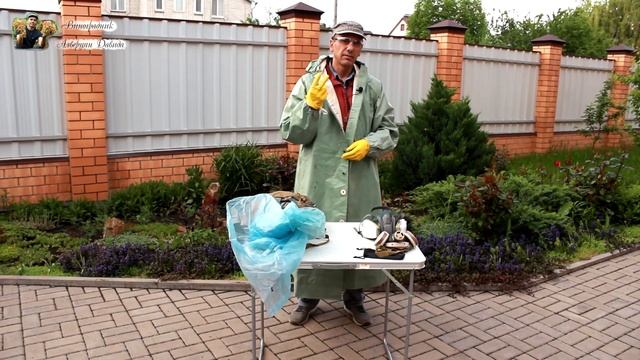 Средства защиты при обработке винограда. Это важно! смотреть онлайн