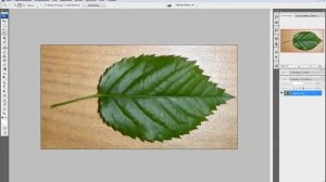 Урок по Photoshop создание Прозрачных Текстур для 3Ds MAX