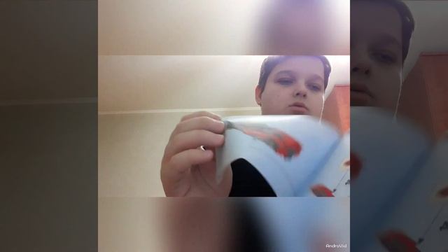 Обзор набора LEGO CREATOR артикул  31100.  Часть 1
