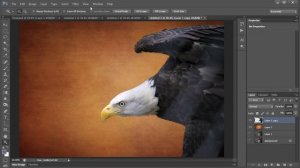 Photo Texturing Eagle Image in Photoshop Using Topaz ReMask and Adjust