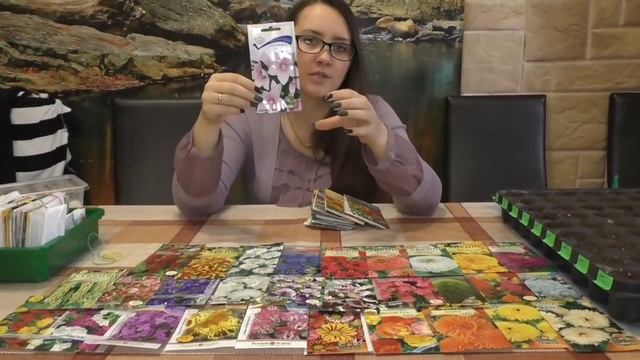 Цветы которые я буду сеять в апреле!!! смотреть онлайн