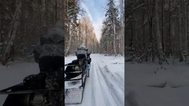 Прогулка на мотособаке смотреть онлайн