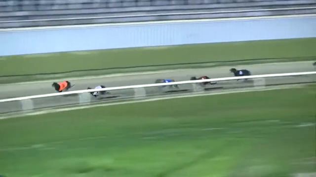 Headford Diva - Central Park Super Standard смотреть онлайн