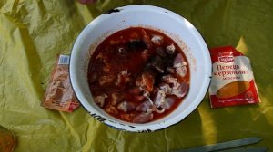 Шашлык из куриных сердечек ( маринованных в томатном соке ) на углях на мангале