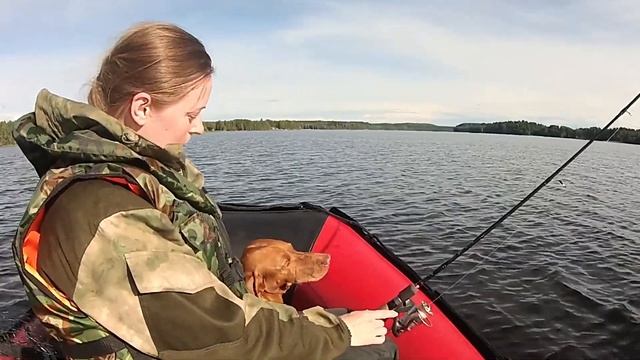 Огромная щука на летней рыбалке | ловля крупной щуки | Pike fishing | summer fishing ! смотреть онлайн