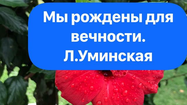 Мы рождены для вечности. Христианский стих. Читает Лидия Уминская смотреть онлайн