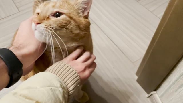 ROOM TOUR Переезд и Мой Декабрь смотреть онлайн