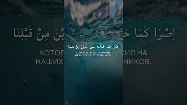 Прекрасное Чтение Корана📖 Ахмад Хизар🎙️ #коран #quran #islam #ислам