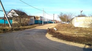 Поселок Приморский Темрюкский район Краснодарский край/Обзор улицы Гагарина/Переезд на юг