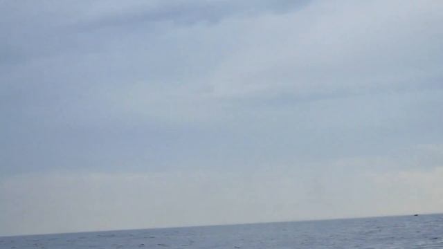 Рыбалка на Баренцевом море. #рыбачий  #баренцевоморе
