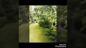 Красивый сад🌼🌼🌼🌻🌺🌹💐🌸🌷