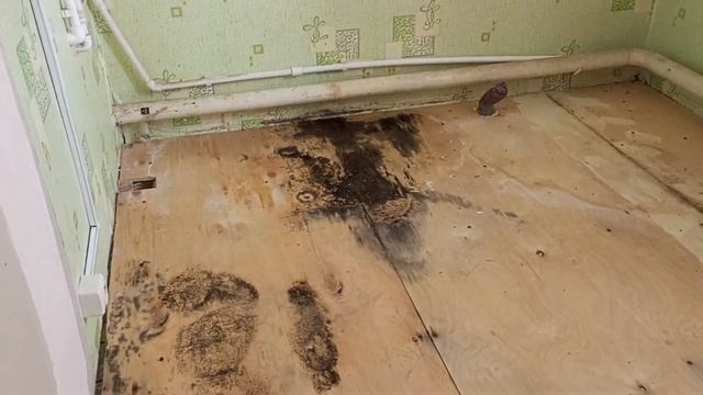 Мы в шоке , плесень на кухне . как избавиться от плесени . #помощь #жизнь #доступнаясреда #любовь