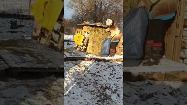 Жизнь в деревне...Нутрии и козы тут.Свое хозяйство.
