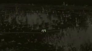 Кабан 250 метров. Iray rico rl 42