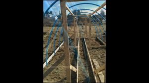 Теплица Своими Руками.Как Сделать Парник.Теплица Из Трубы