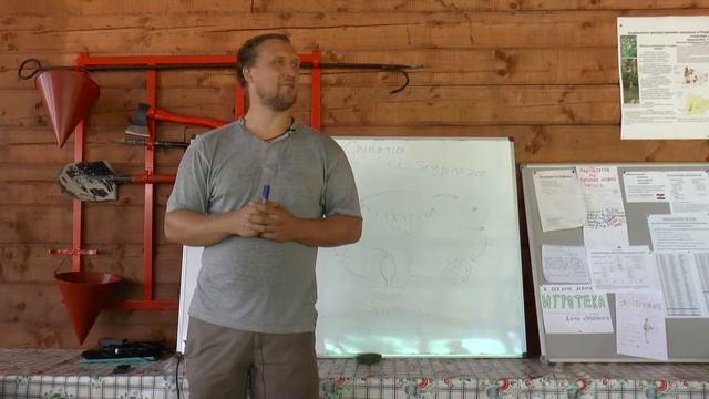 Курс «Зоология беспозвоночных», лекция 3, ЛЭШ-2018