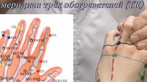 Секреты китайской медицины (26). Точка е-мэнь. Меридиан трёх обогревателей TR2.